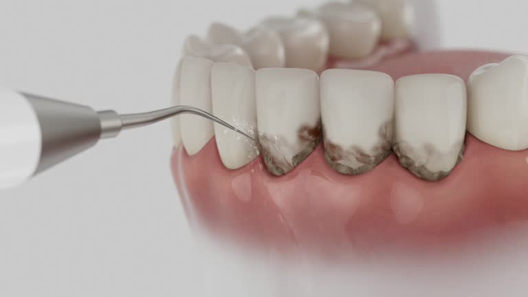 Reliable Dental contractor in Morrice, MI by Dentist Open Now